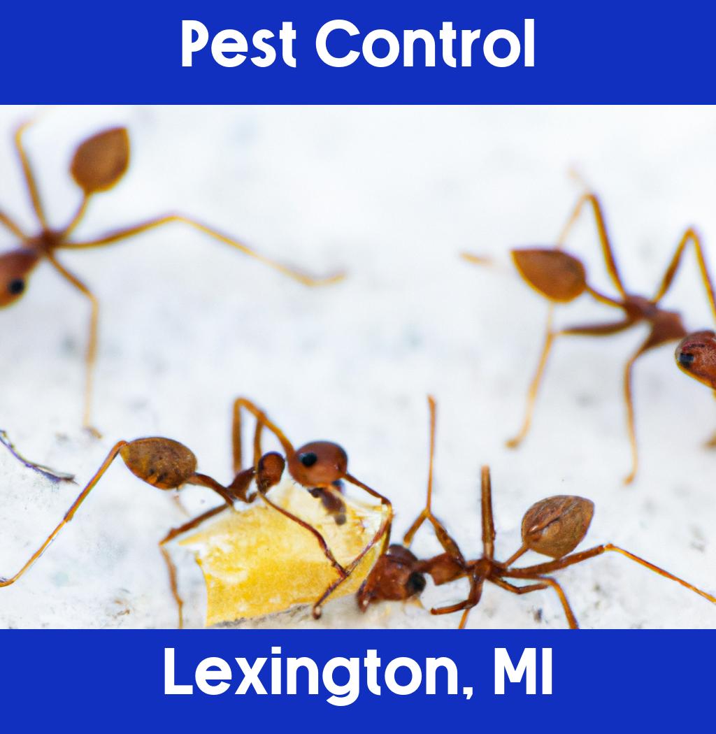 pest control in Lexington Michigan