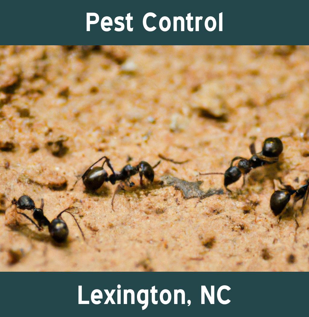 pest control in Lexington North Carolina