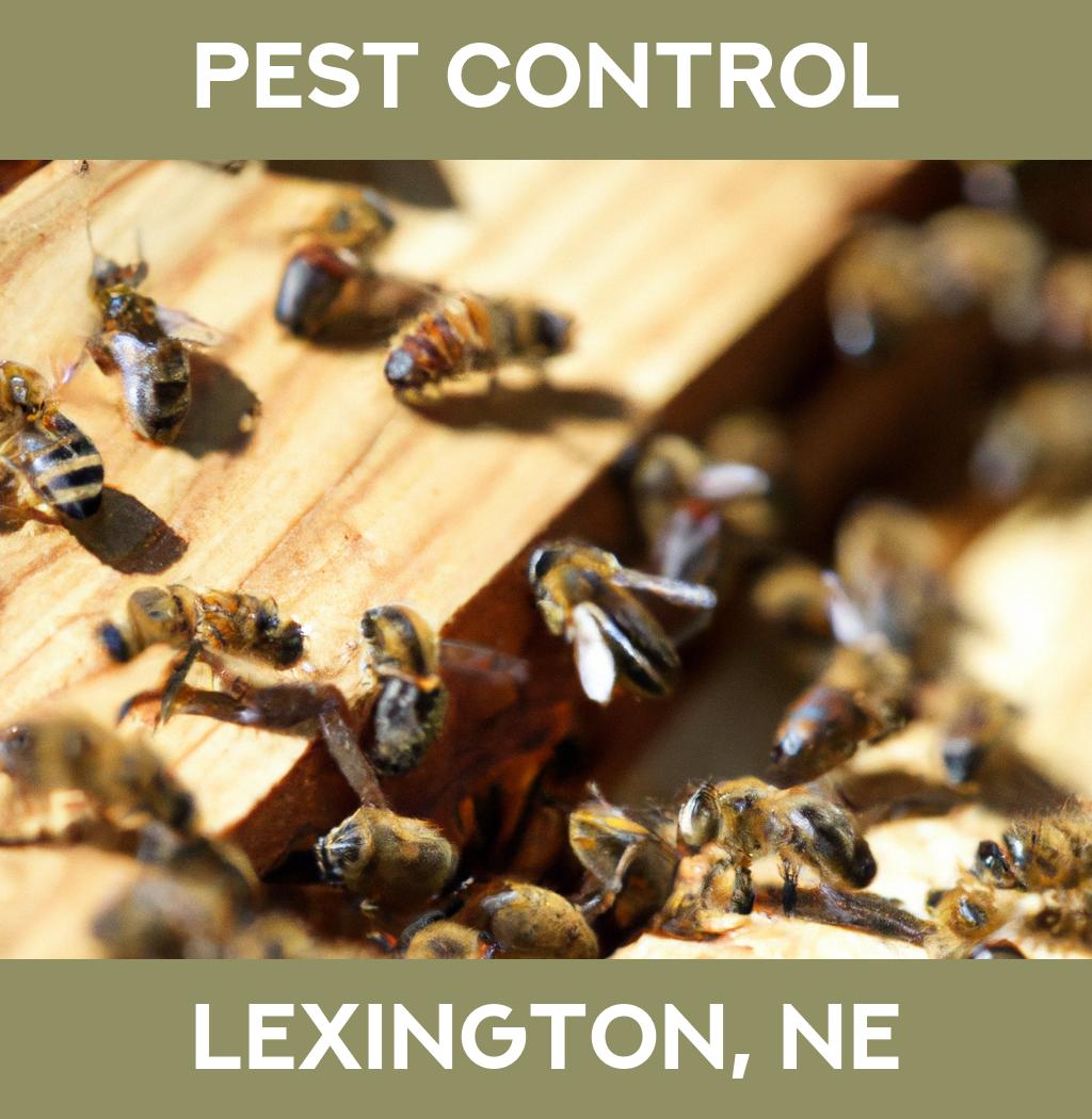 pest control in Lexington Nebraska