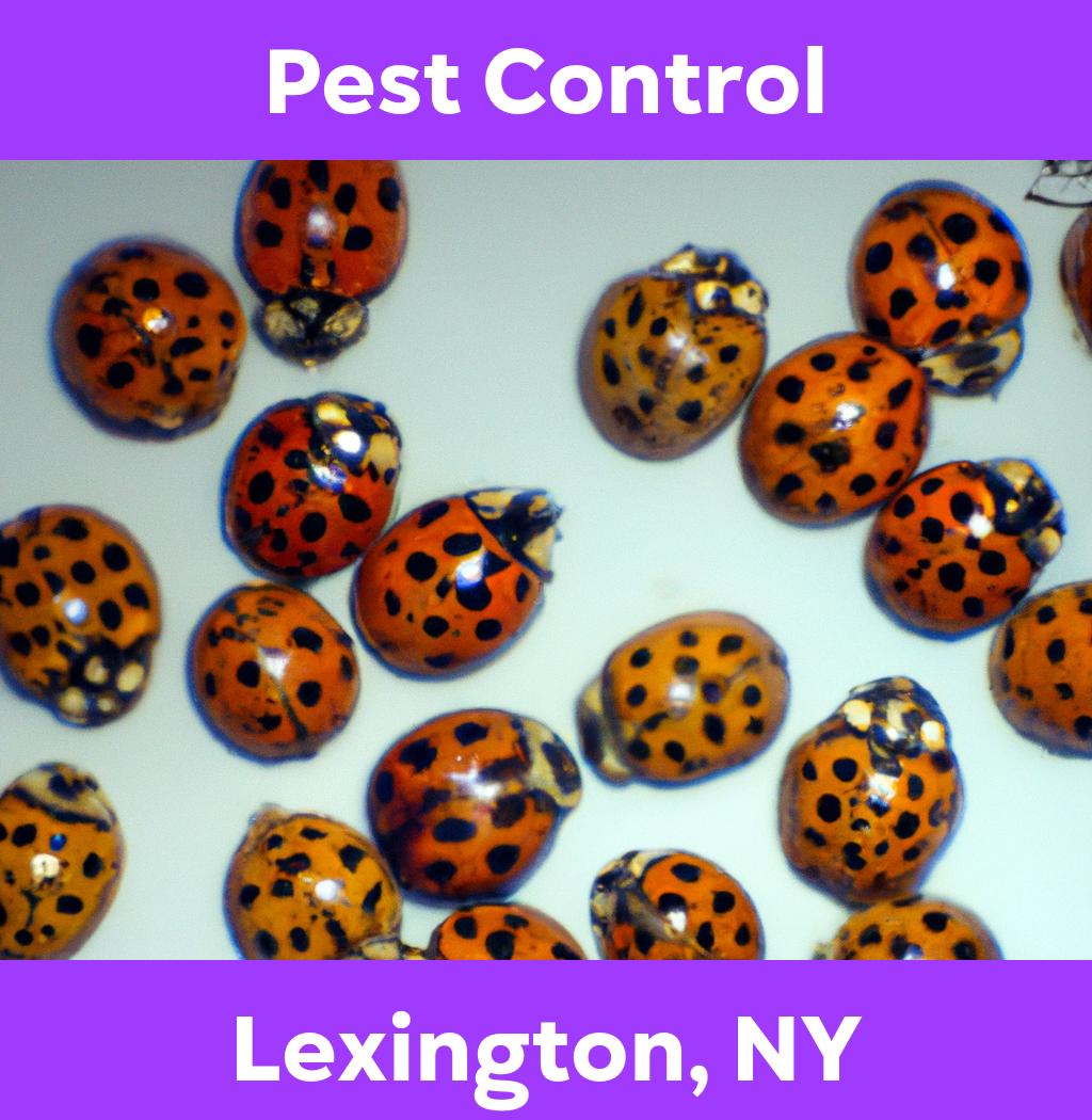 pest control in Lexington New York
