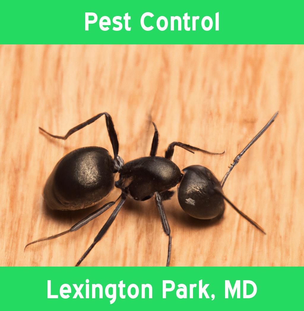 pest control in Lexington Park Maryland