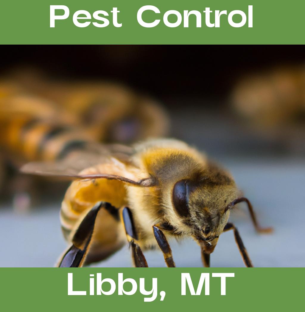 pest control in Libby Montana