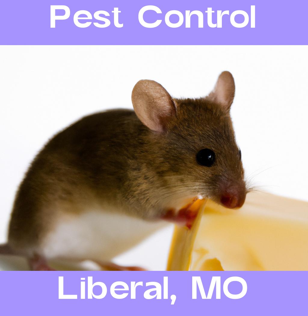 pest control in Liberal Missouri