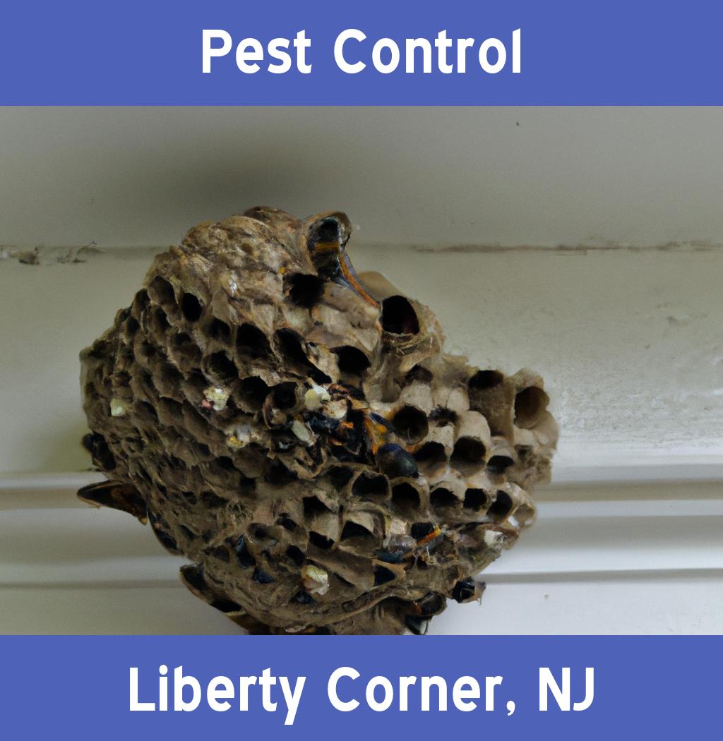 pest control in Liberty Corner New Jersey