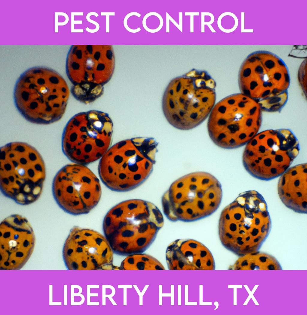 pest control in Liberty Hill Texas