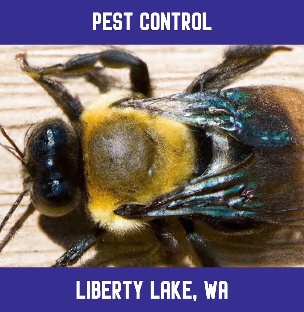 pest control in Liberty Lake Washington