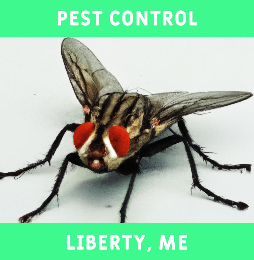 pest control in Liberty Maine
