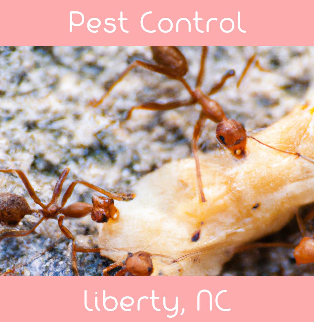 pest control in Liberty North Carolina