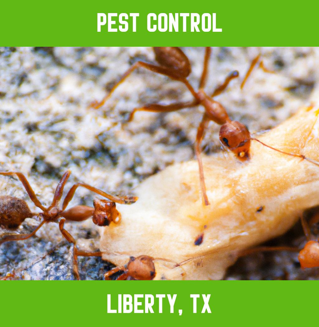 pest control in Liberty Texas