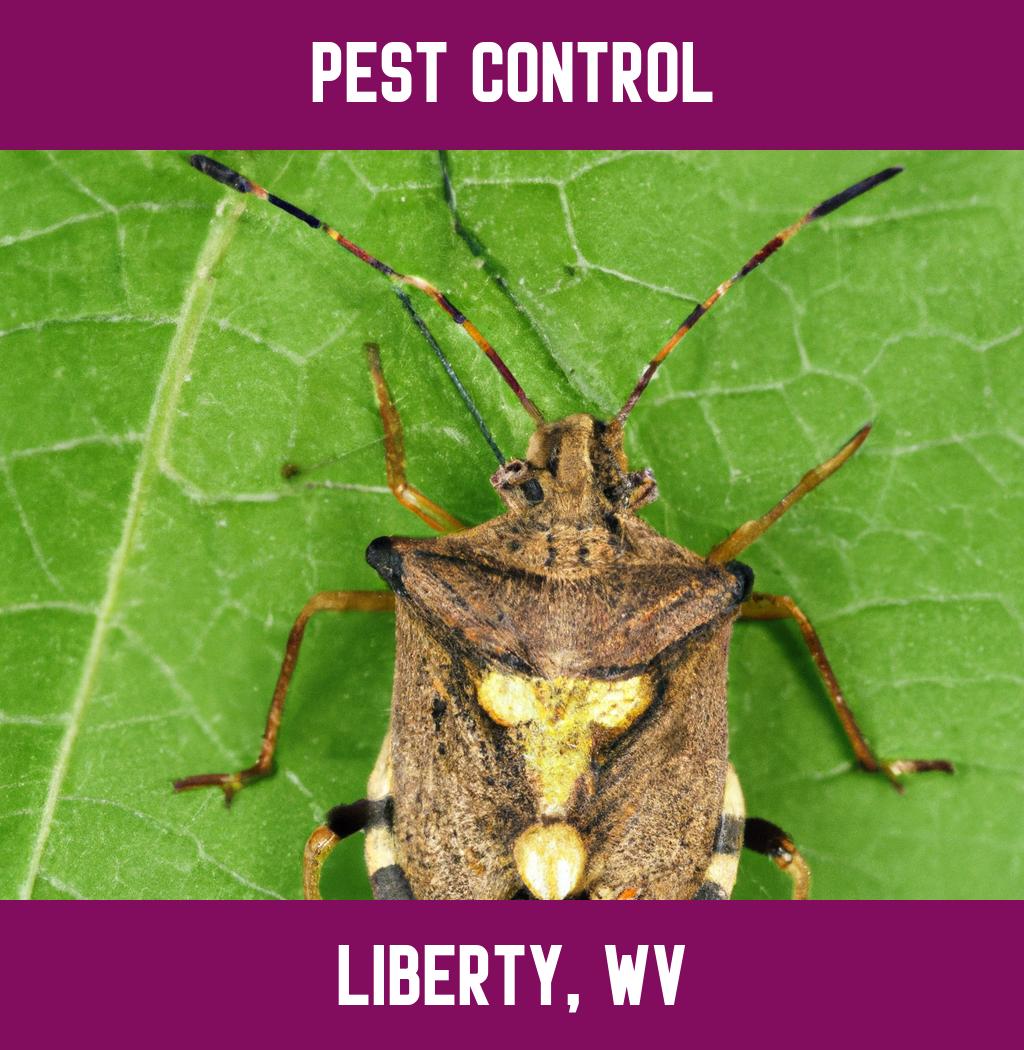 pest control in Liberty West Virginia