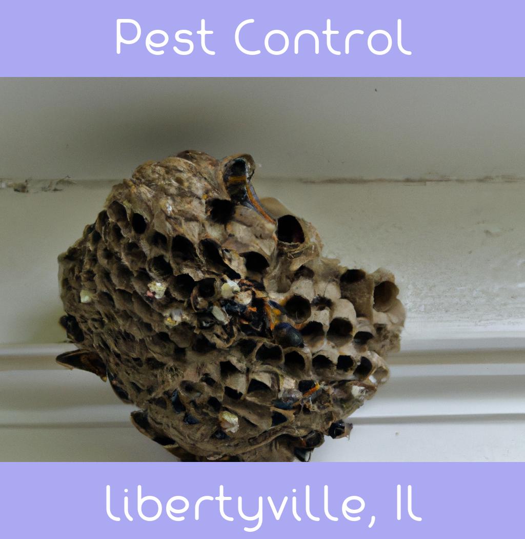 pest control in Libertyville Illinois