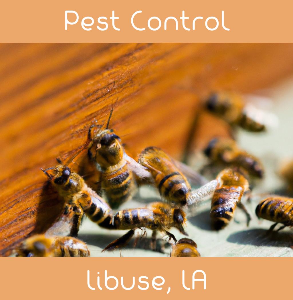 pest control in Libuse Louisiana