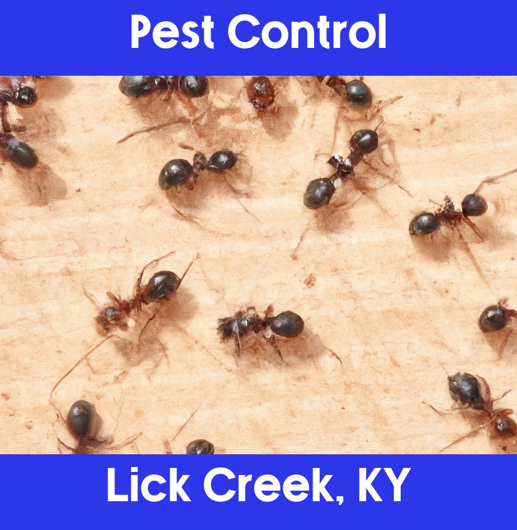 pest control in Lick Creek Kentucky