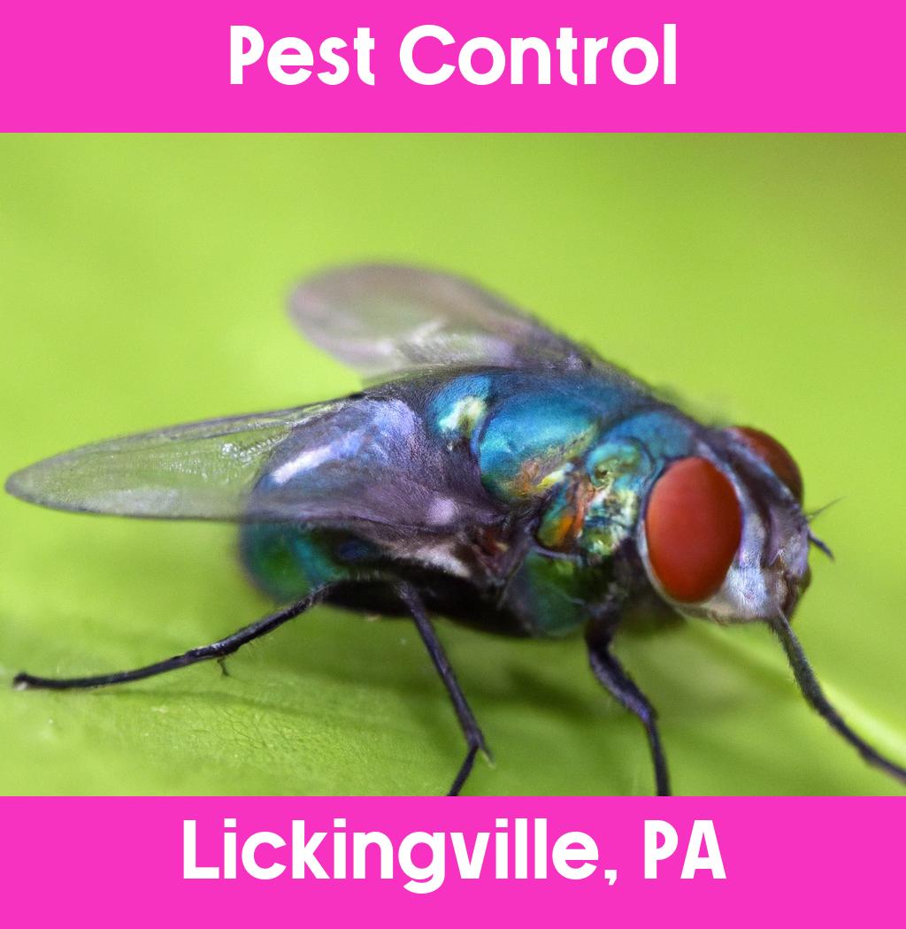 pest control in Lickingville Pennsylvania