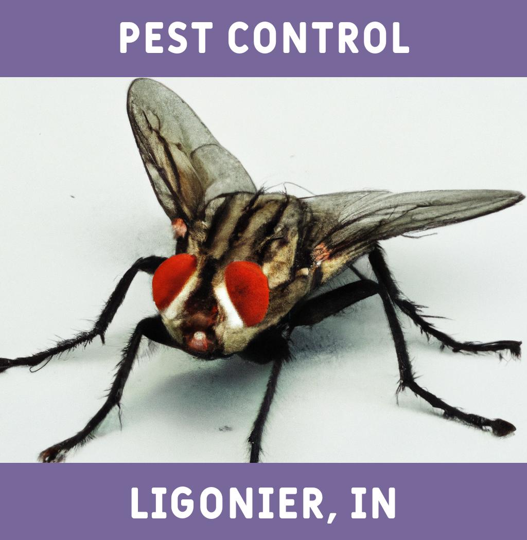 pest control in Ligonier Indiana