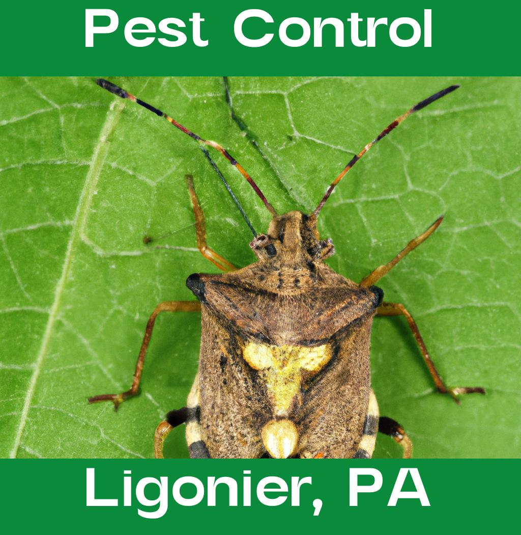 pest control in Ligonier Pennsylvania