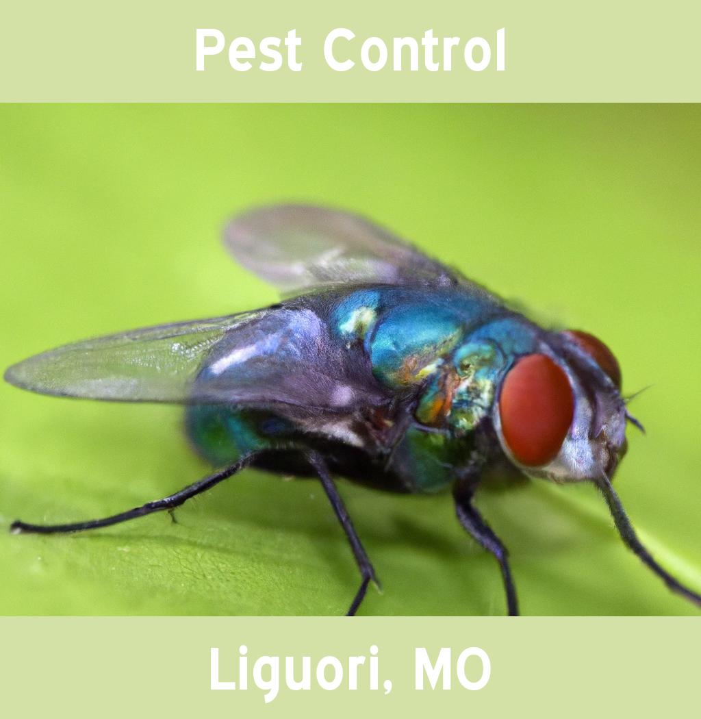 pest control in Liguori Missouri