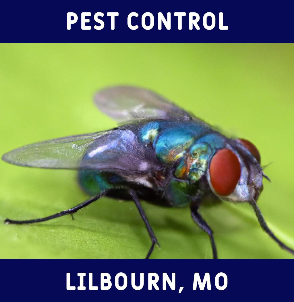 pest control in Lilbourn Missouri