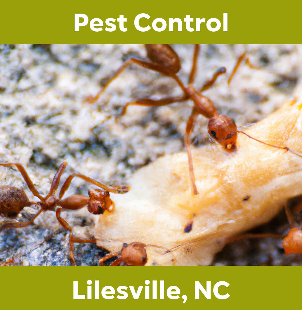pest control in Lilesville North Carolina