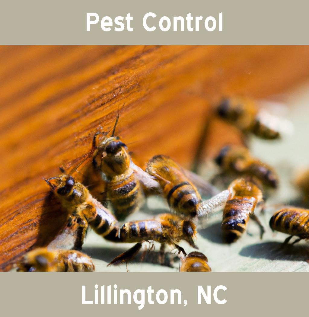 pest control in Lillington North Carolina