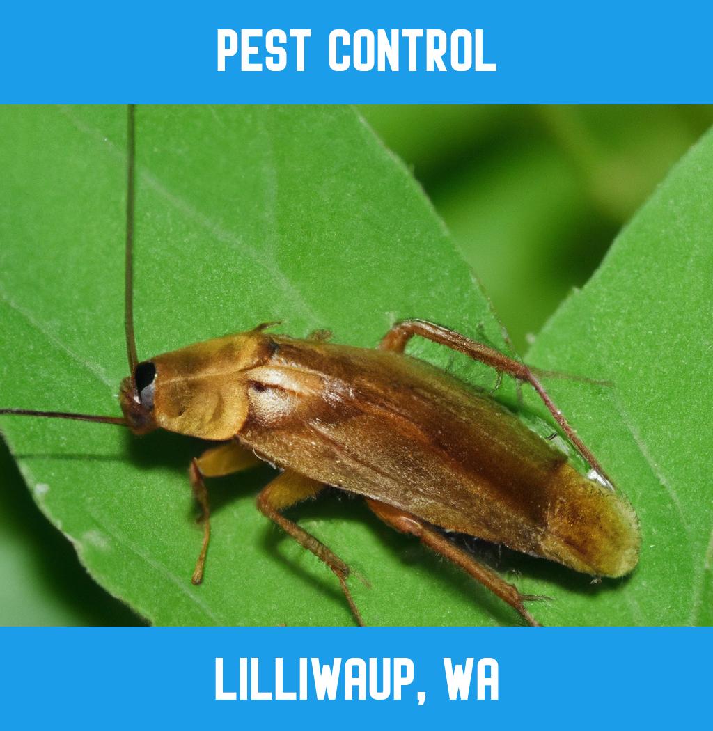 pest control in Lilliwaup Washington