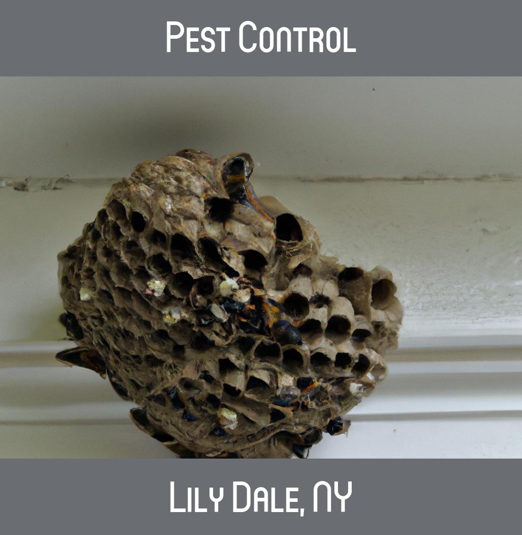 pest control in Lily Dale New York