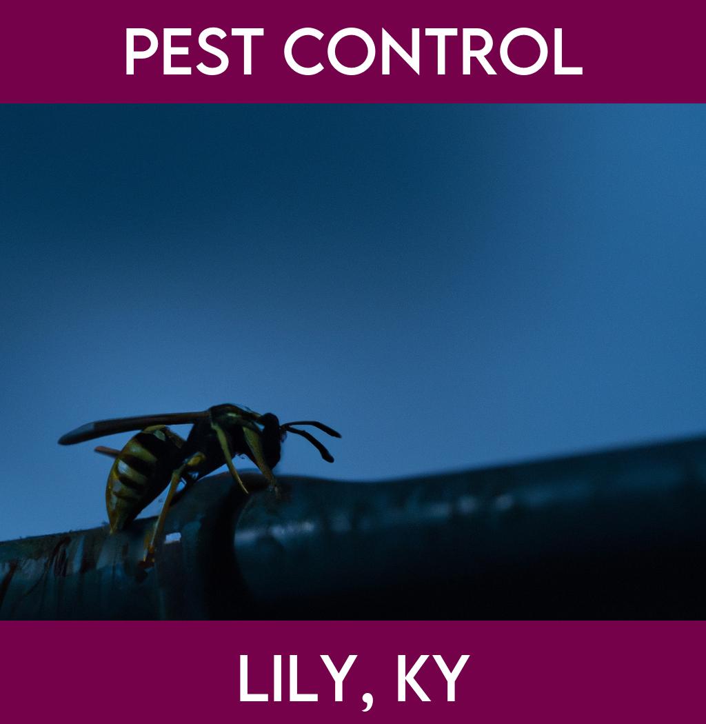 pest control in Lily Kentucky