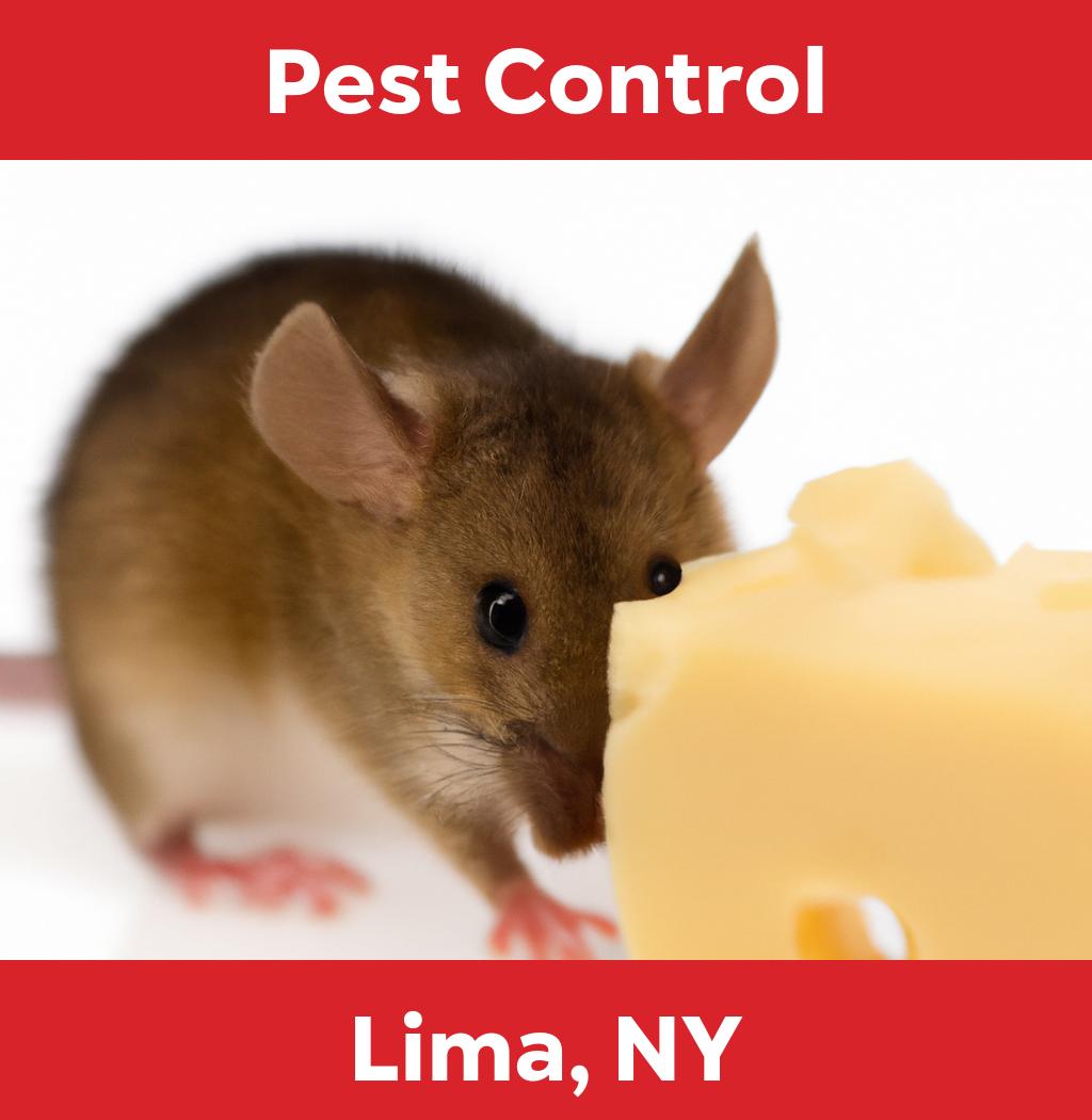 pest control in Lima New York