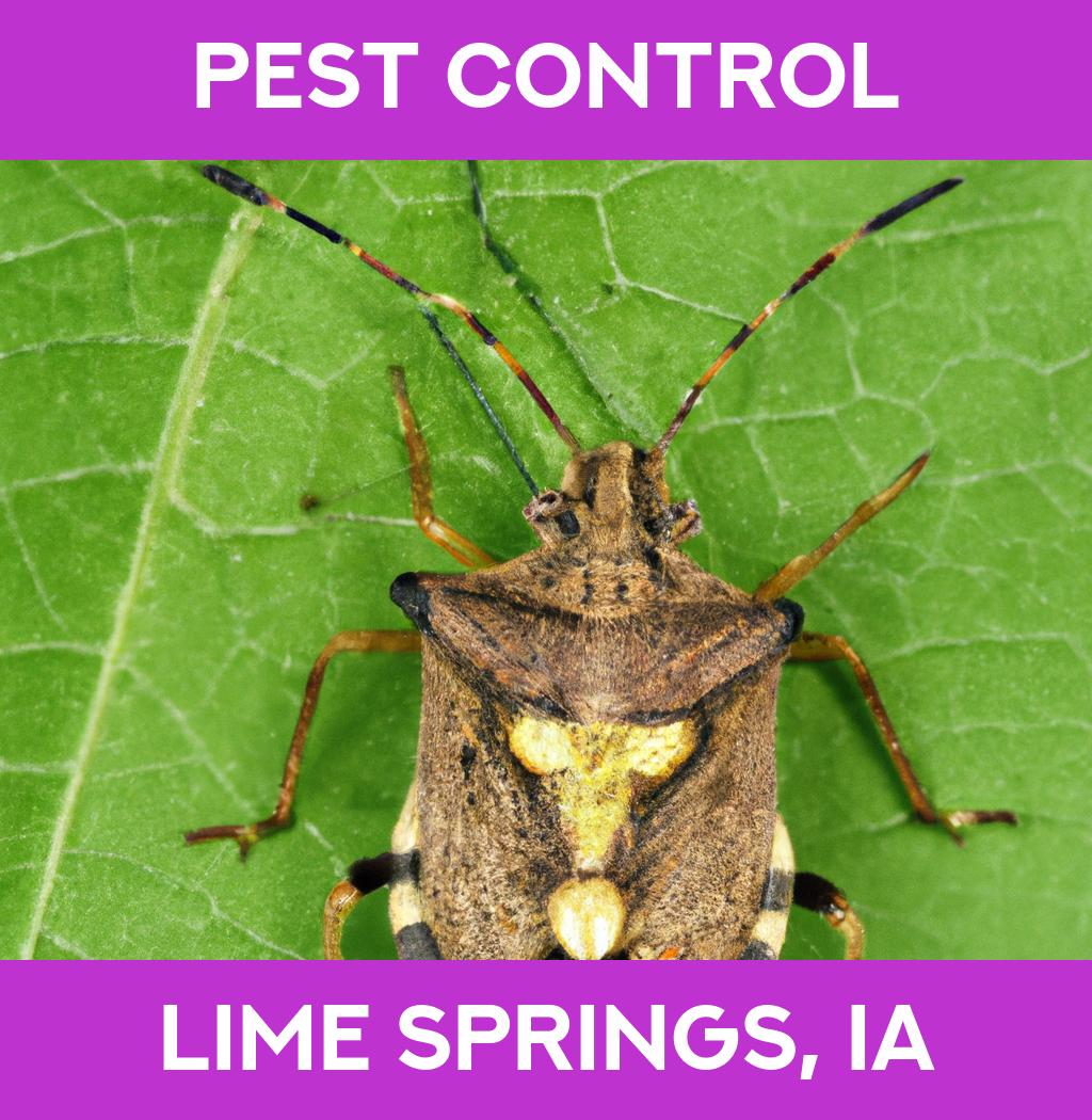 pest control in Lime Springs Iowa