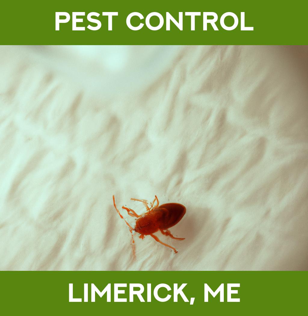 pest control in Limerick Maine