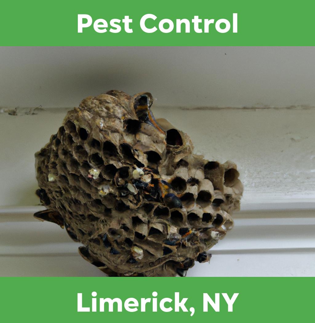 pest control in Limerick New York