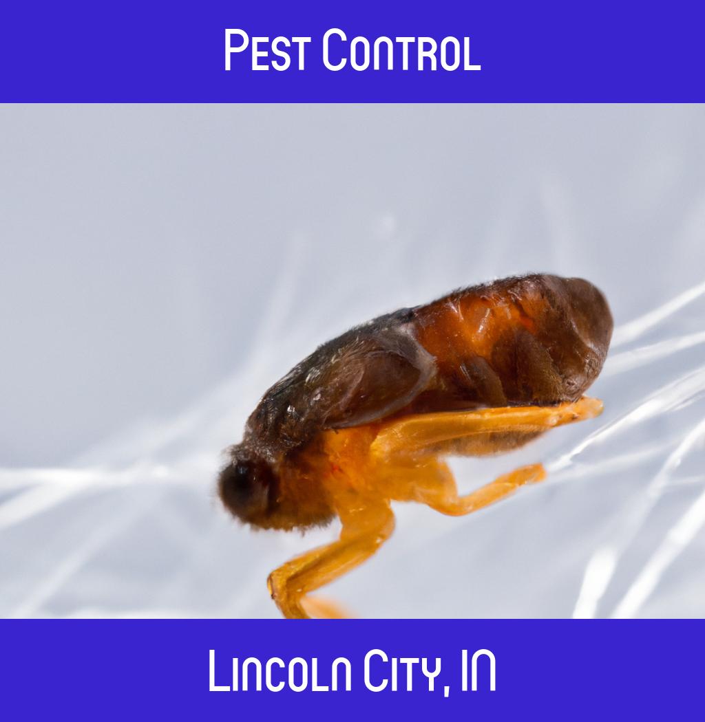 pest control in Lincoln City Indiana
