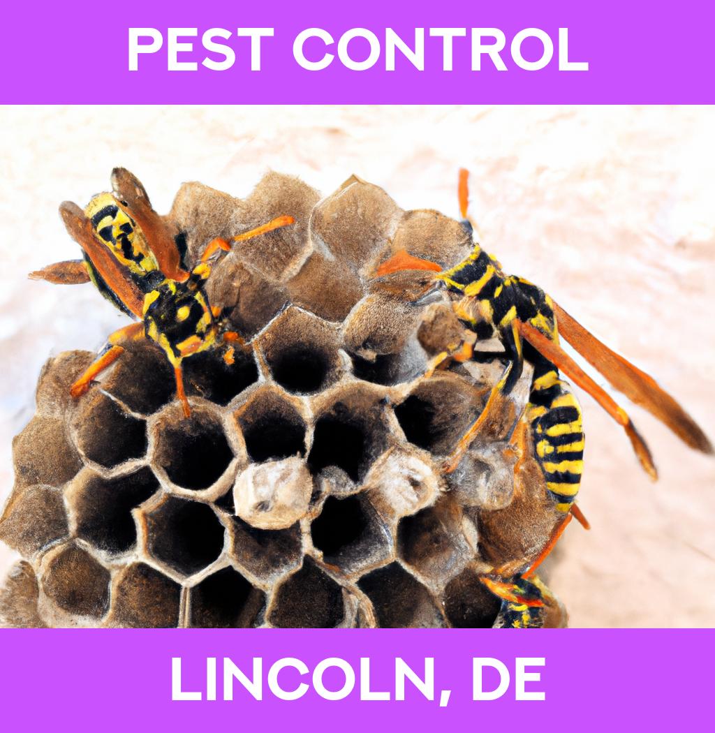pest control in Lincoln Delaware