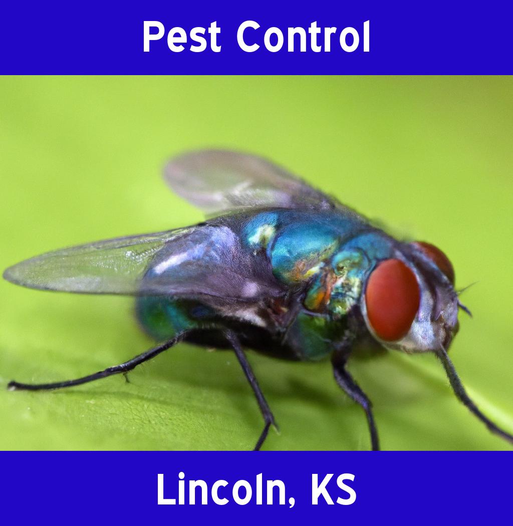 pest control in Lincoln Kansas