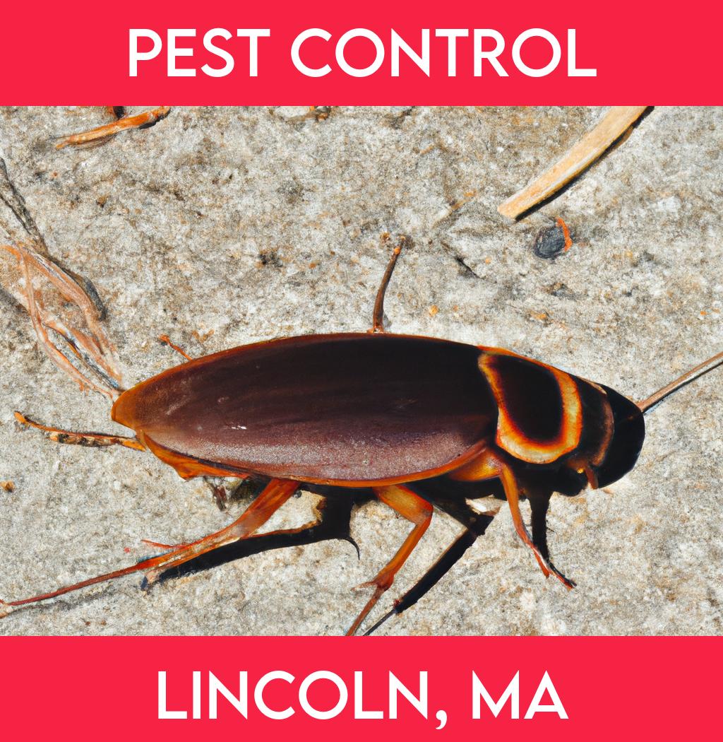 pest control in Lincoln Massachusetts