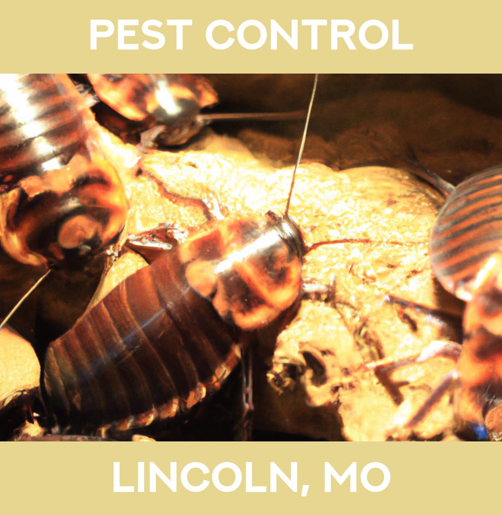 pest control in Lincoln Missouri