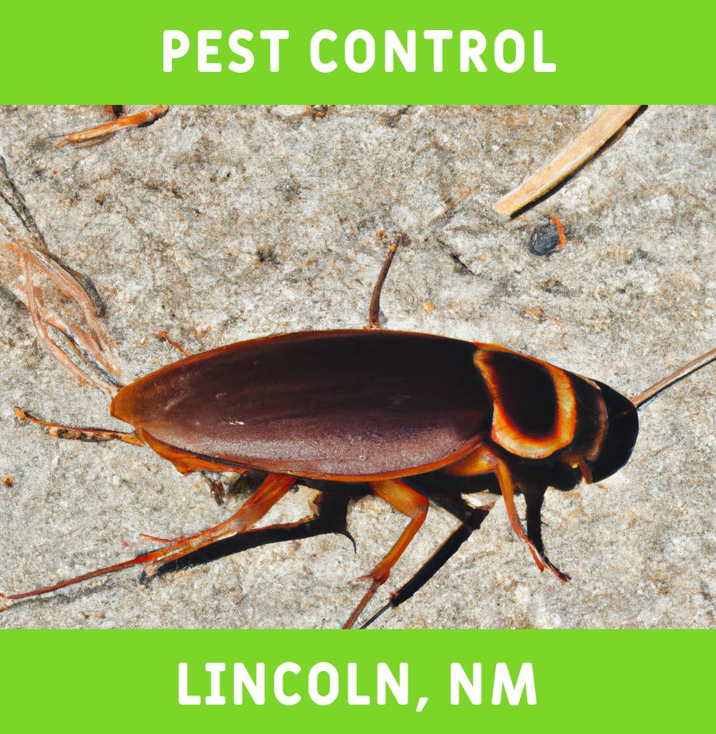 pest control in Lincoln New Mexico