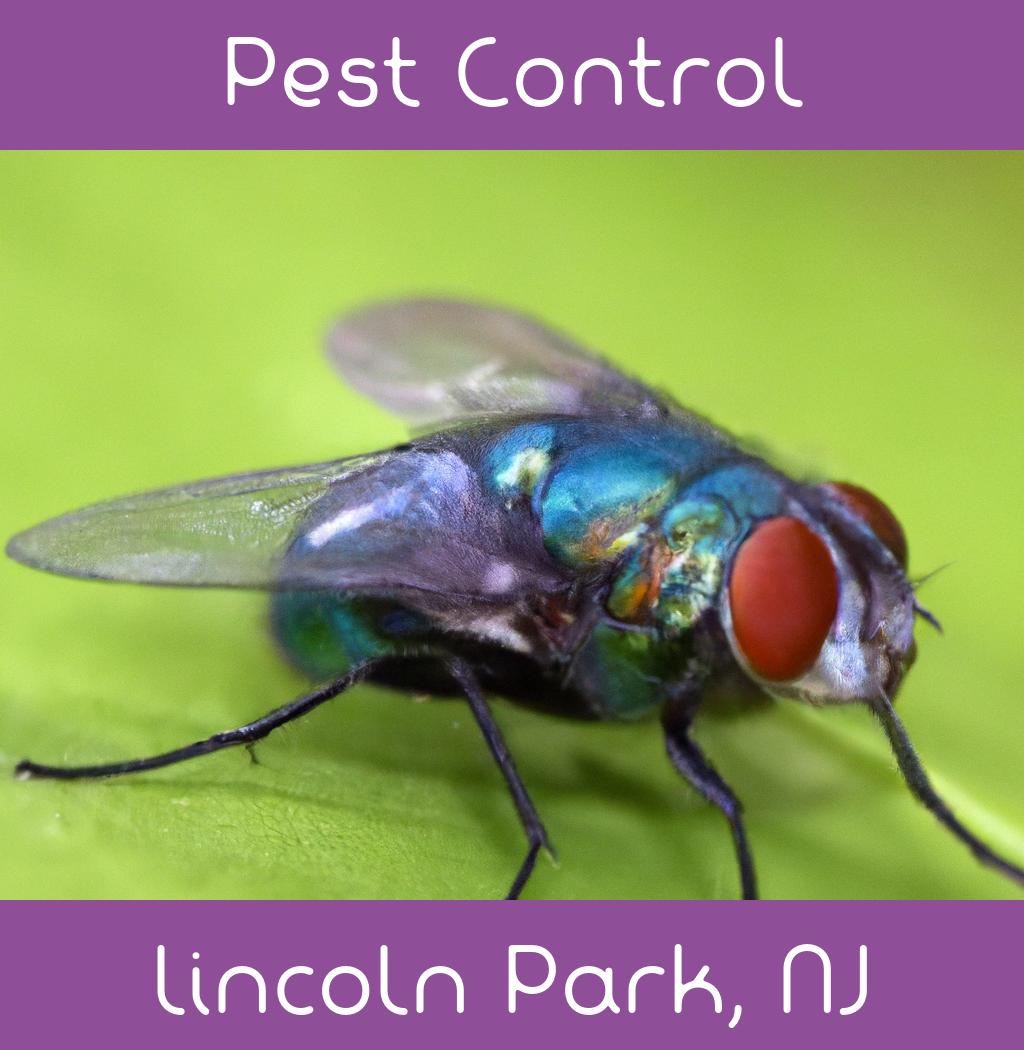 pest control in Lincoln Park New Jersey
