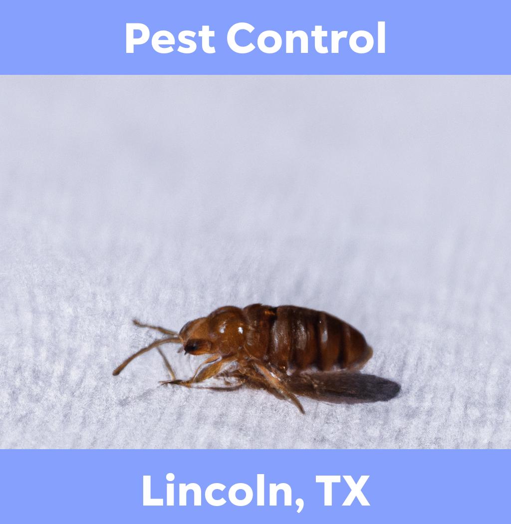pest control in Lincoln Texas