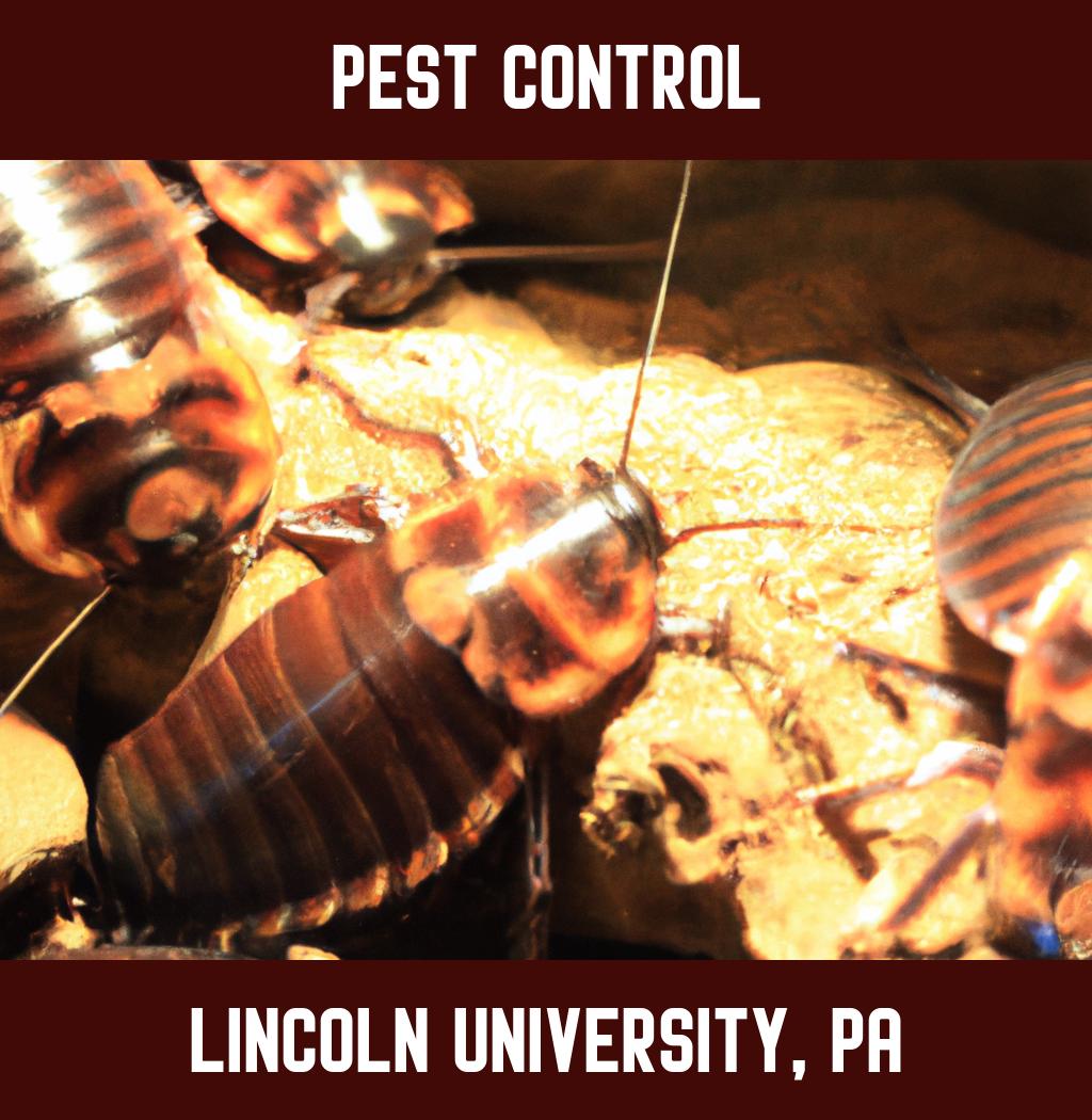 pest control in Lincoln University Pennsylvania