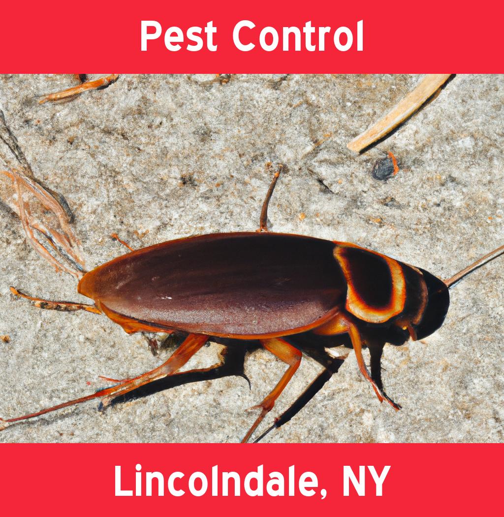 pest control in Lincolndale New York
