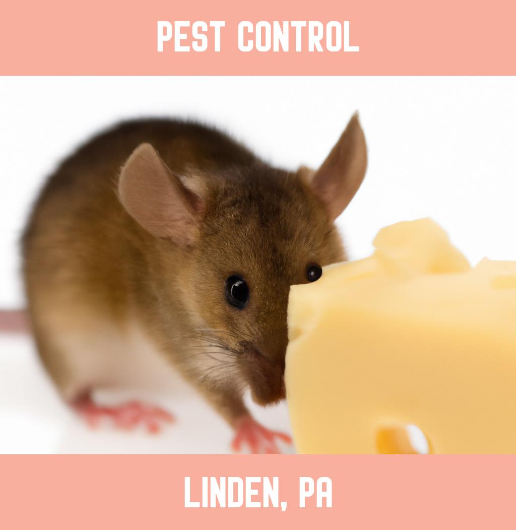 pest control in Linden Pennsylvania