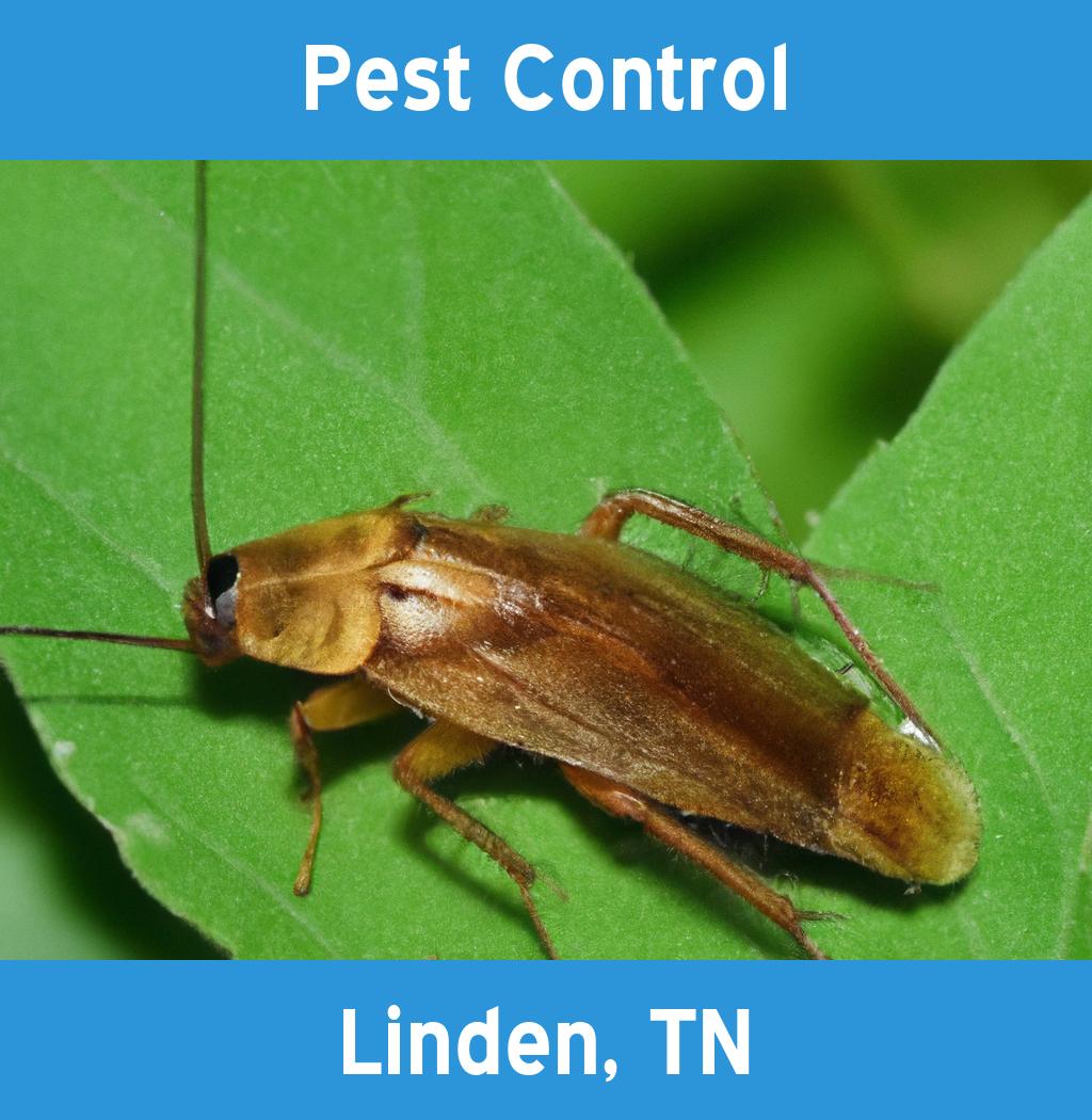 pest control in Linden Tennessee