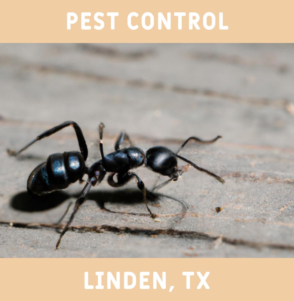 pest control in Linden Texas