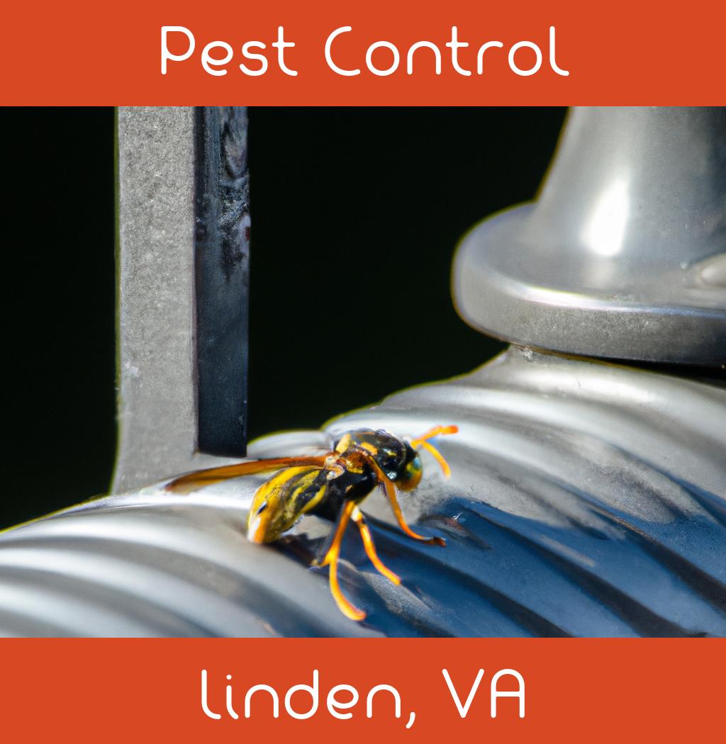 pest control in Linden Virginia