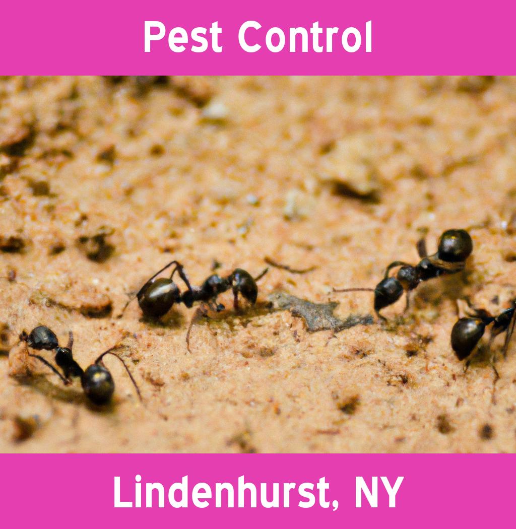 pest control in Lindenhurst New York