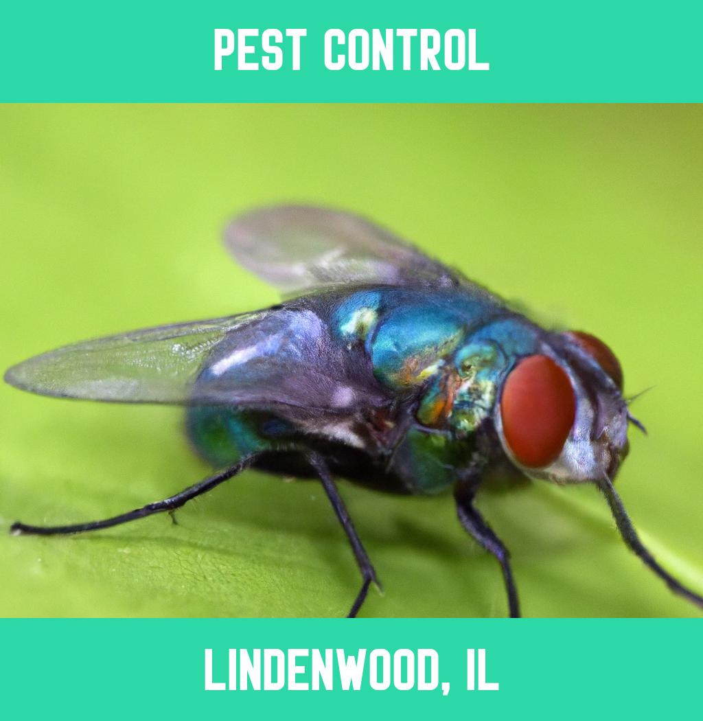 pest control in Lindenwood Illinois