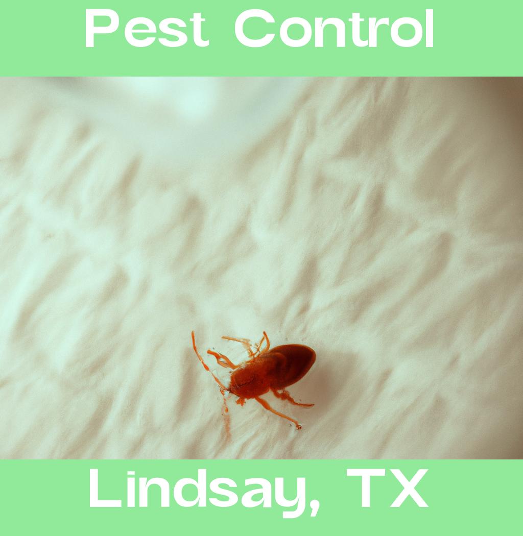 pest control in Lindsay Texas