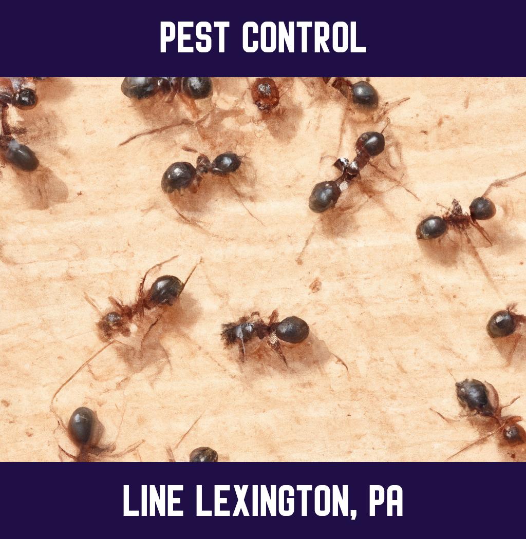 pest control in Line Lexington Pennsylvania