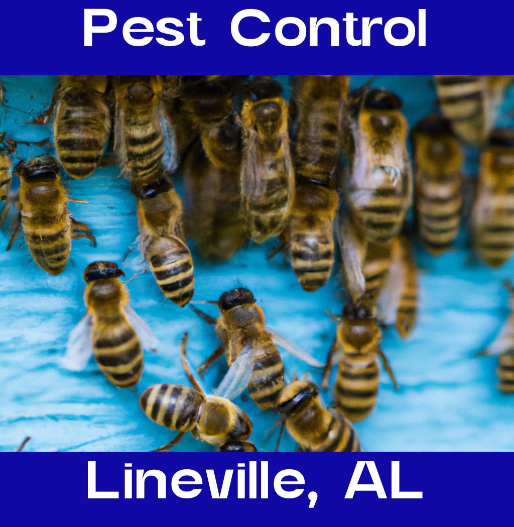 pest control in Lineville Alabama